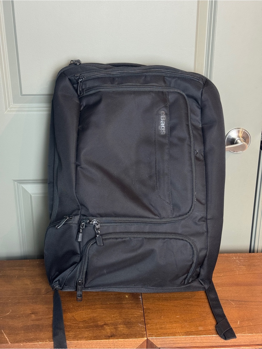 eBags Pro Slim Jr Laptop Backpack Professional Weekender Travel EB2146 Bag